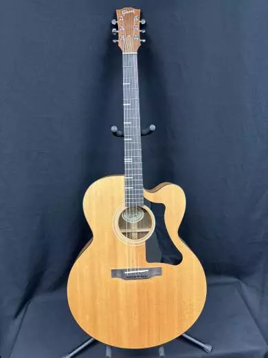 Gibson - ACG20ANNH