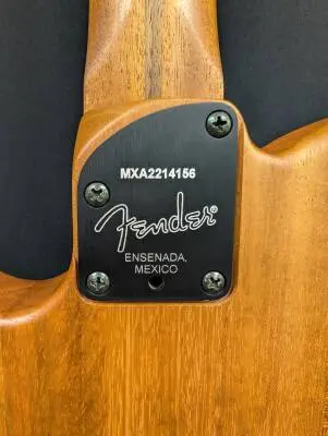 Fender - Acoustasonic Player Telecaster 2