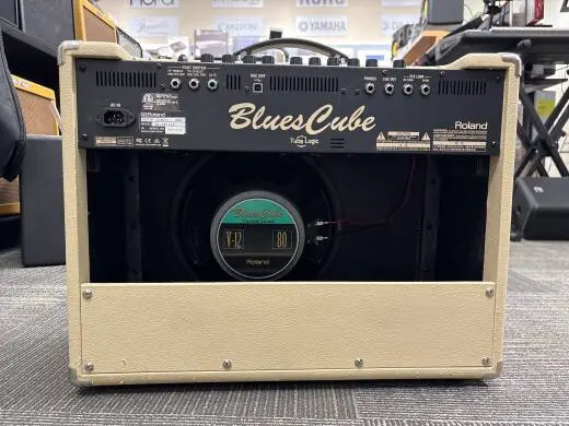 Roland - Blues Cube Artist 2