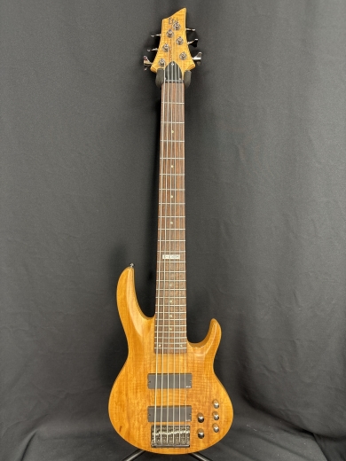 ESP - LTD B-416 Six String Electric Bass