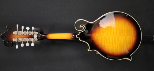 Epiphone - F-Style Mandolin - Antique Sunburst 3