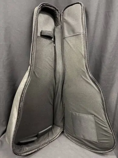 Takamine - Gig Bag 2