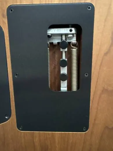 Charvel Guitars -Guthrie Govan Signature 2