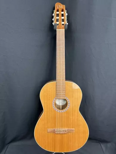 Store Special Product - Godin Guitars - Concert