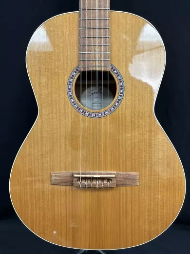 Store Special Product - Godin Guitars - Concert