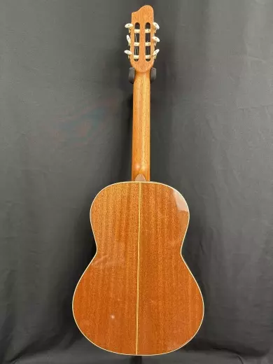 Store Special Product - Godin Guitars - Concert