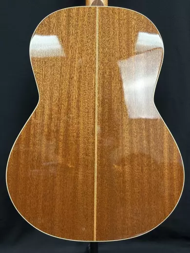 Godin Guitars - Concert 2