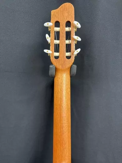 Godin Guitars - Concert 2