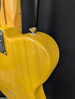 Fender - American Pro Plus Telecaster - Blonde 2