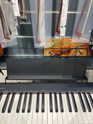 Casio - CDP-S160BKCS 2