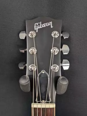 Gibson - Les Paul Standard - Greeny 2