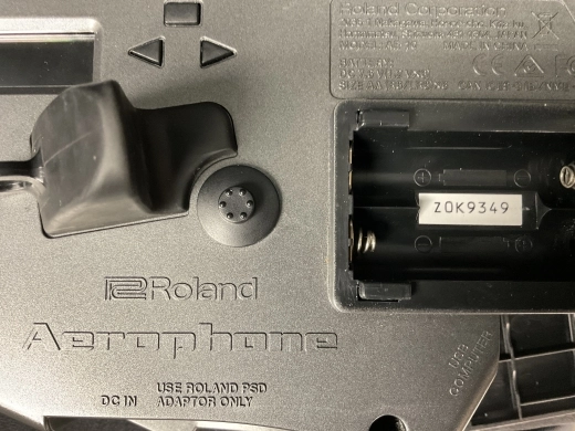 Roland - AE-10G 2