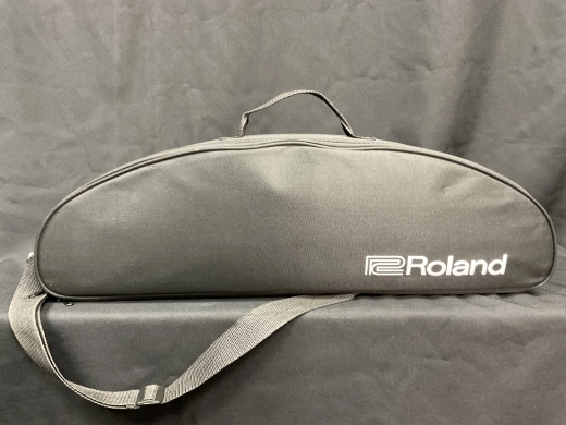 Roland - AE-10G 4