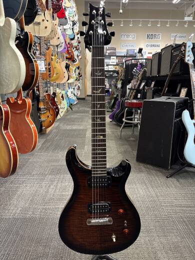 PRS Guitars - 103495::BG: