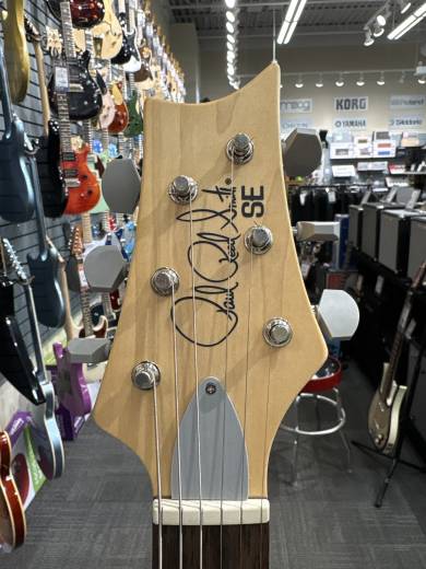 Store Special Product - PRS Guitars - 109639::9J: