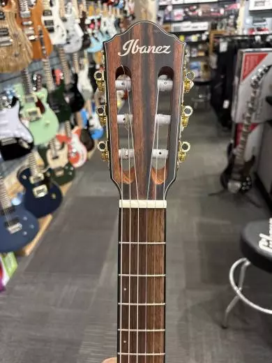 Ibanez - FRH10NNTF 2