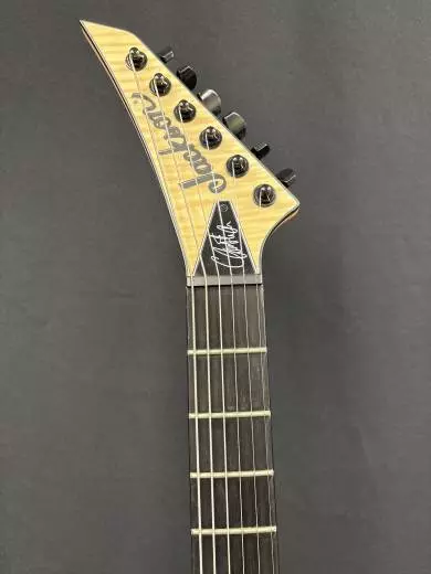 Jackson Guitars - 291-0000-557 2