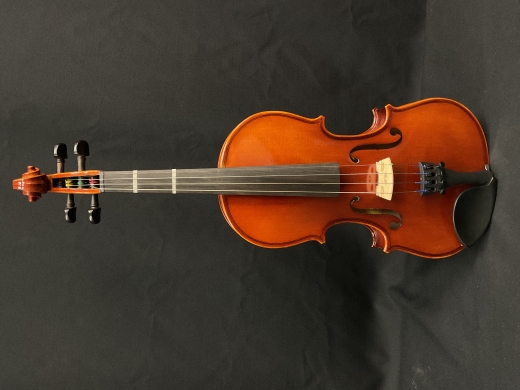 Eastman Strings - VL80LM 3/4 OF 2