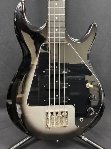 Epiphone -Mike Dirnt Grabber 2