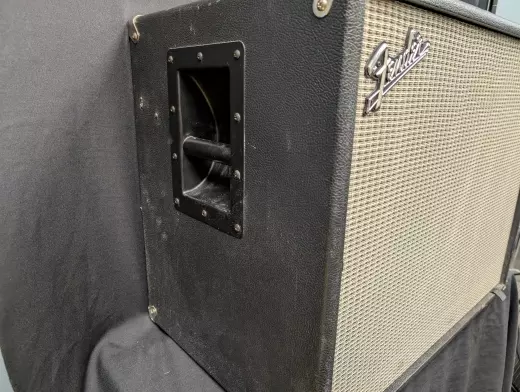 Fender - Bassman 115 Neo Cab 5
