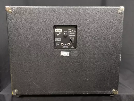 Fender - Bassman 115 Neo Cab 6