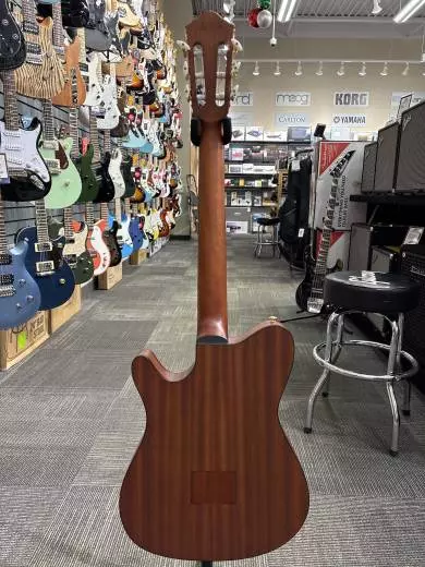 Ibanez - FRH10NNTF 2