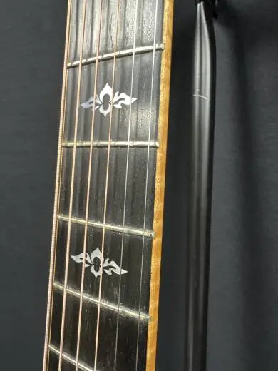 Taylor Guitars - 814CE Auditorium 2