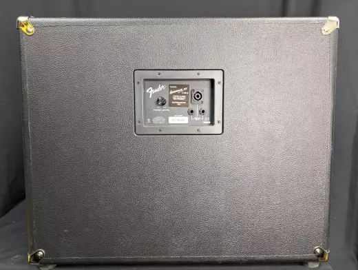 Fender - Bassman 115 Neo Cab 7