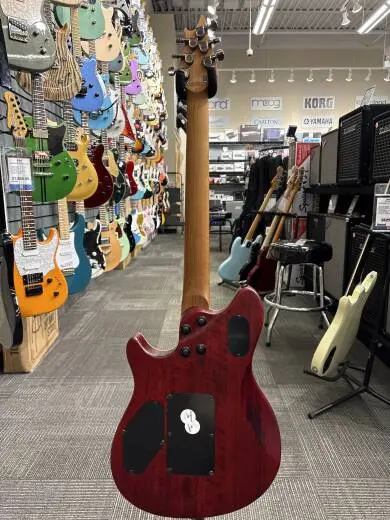 EVH - Wolfgang STD Exotic Bocote 2