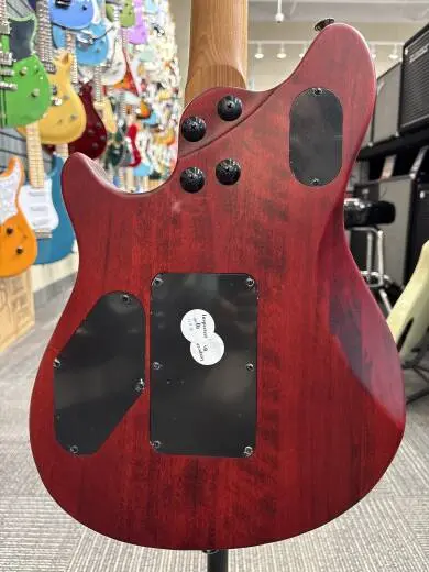 EVH - Wolfgang STD Exotic Bocote 2