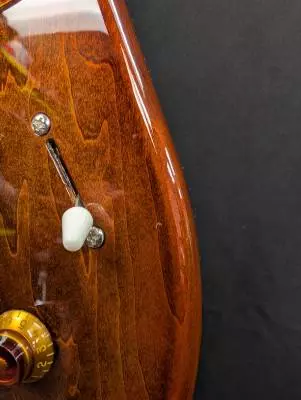 Godin Guitars - Session T-Pro Kanyon Burst 2