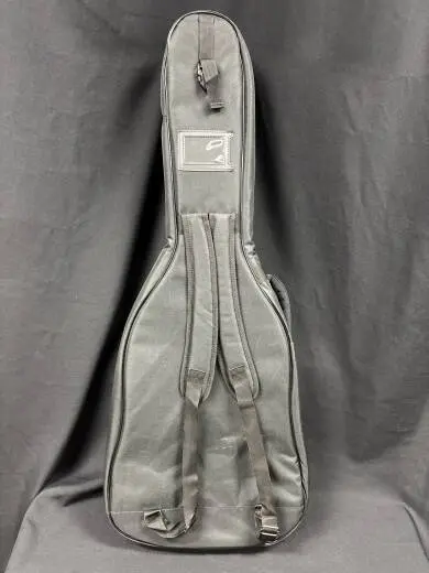 Seagull - Acoustic Gig Bag 2