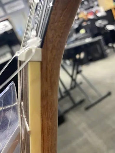 Epiphone - EOCANANH 2