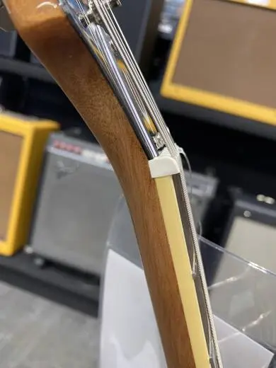 Epiphone - EOCANANH 2