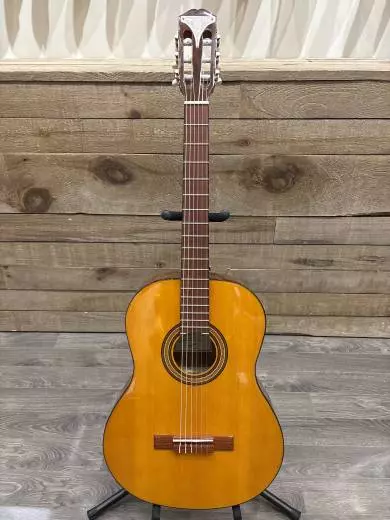 Epiphone - EAPCANCH