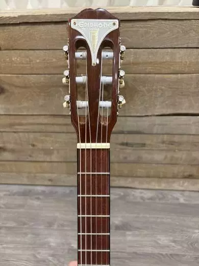 Epiphone - EAPCANCH 2