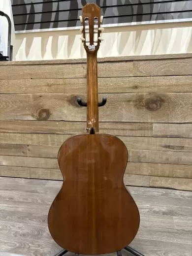Epiphone - EAPCANCH 2
