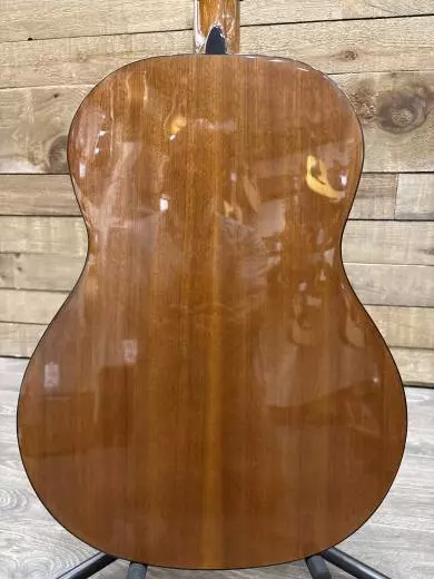 Epiphone - EAPCANCH 2