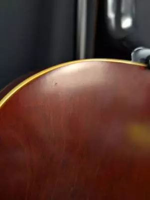 Epiphone - 1966 Century - Vintage Sunburst 2