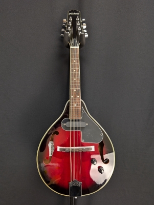 Alabama ALM20E Mandolin