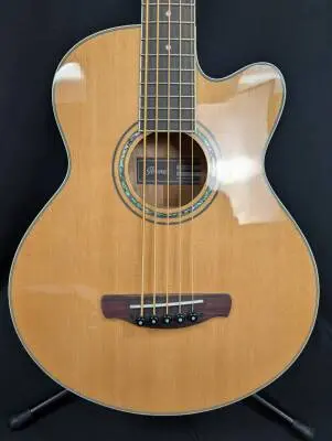 Ibanez - AEB Acoustic Bass 2