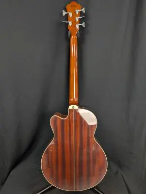 Ibanez - AEB Acoustic Bass 2