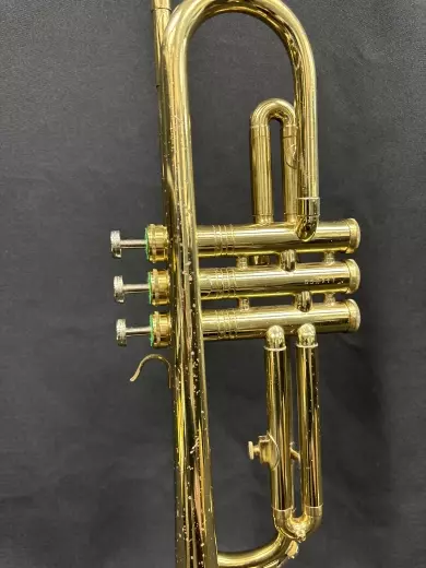 Trumpet - Andre Bardot 5