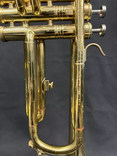 Trumpet - Andre Bardot 6