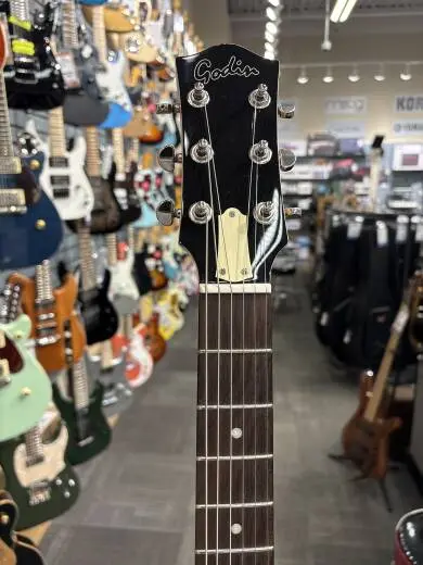 Godin Guitars - 5th Avenue Thinline 2