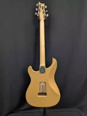 PRS S2 - Silver Sky Golden Mesa 2