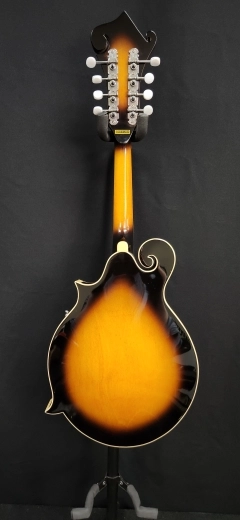 Gold Tone - GM-35 Mandolin 2