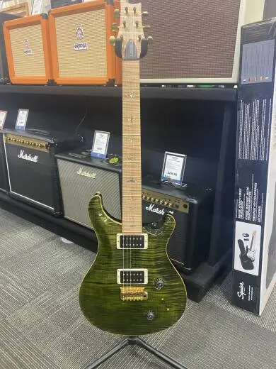 PRS - CUSTOM 22 ARTIST PACKAGE