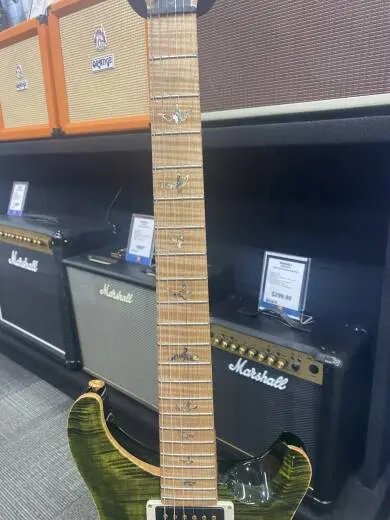 PRS - CUSTOM 22 ARTIST PACKAGE 2