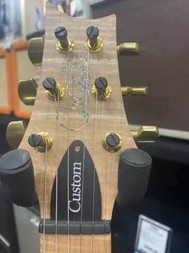 PRS - CUSTOM 22 ARTIST PACKAGE 2